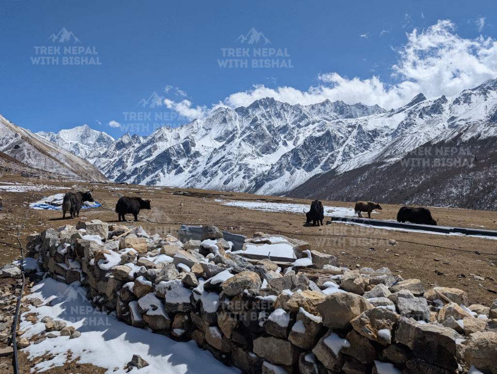 Langtang Valley